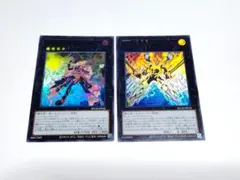 ＦＮｏ.０ 未来皇ホープゼアル　ガガガガガール　c