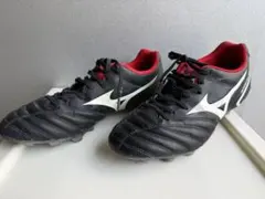 Item thumbnail for item 1595531b-b9fb-4260-829f-0fa05aadf3fe