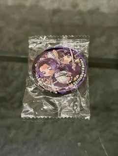 鬼滅の刃 ぴた！でふぉめ 無限城編 缶バッジ 胡蝶しのぶ 栗花落カナヲ