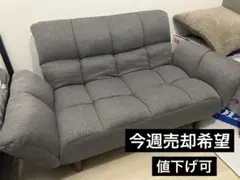 【値下げ可】ニトリ コンパクトソファ 布張りタイプ グレーのサムネイル