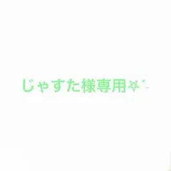 DSカセット2本セット