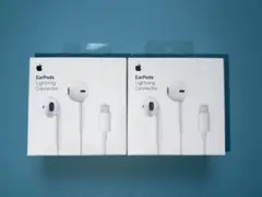 Apple Lightningコネクタ 2個セット