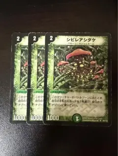 2026年最新】シビレアシダケの人気アイテム - メルカリ