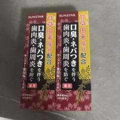 サンスター薬用塩ハミガキ　85g２本セットのサムネイル