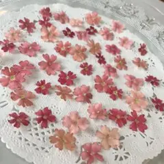 keiko様 リクエスト 2点 まとめ商品