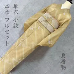 夏着物 夏用 フルセット 夏帯 絽 紗 小紋 洗える着物 流れ笹 短冊 V3 