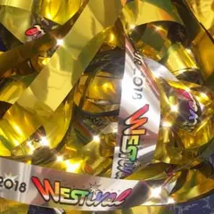 westival 銀テ