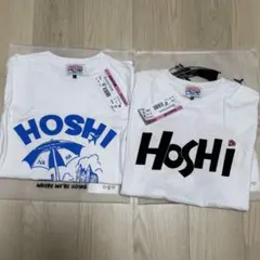 Item thumbnail for item 076dd952-8fe0-4eab-bddb-d24ffde6c11a