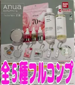 Anua ミニチュアチャーム 全5種　ガチャ　ラスト