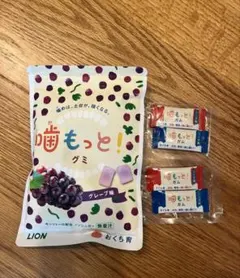 LION 噛もっと！グミ グレープ味 15日分のサムネイル