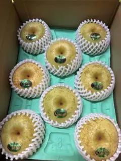 tsuebaba様ご専用ページ　秋麗梨　8玉　2.5〜3kg