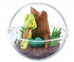 ポケモン　リーメント　テラリウム　キモリ 新品