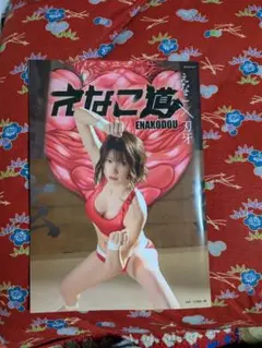 えなこ道、写真集 ENAKODOU