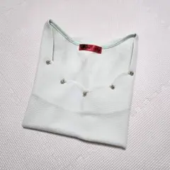 アイスグリーン 半袖ビーズ付き ショートトップス