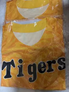 Item thumbnail for item def46981-95ac-4122-8bcd-eb46f3e5df18