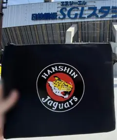 Item thumbnail for item a17eb69c-1ddd-43c1-873d-dd2f31f1e11c