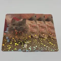 猫カフェmocha トレカ イオンモール筑紫野店 ひめ - メルカリ