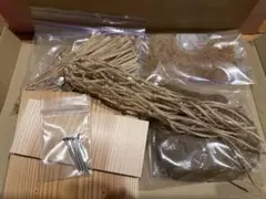 Item thumbnail for item 63eef045-ad3a-48d4-83a8-005d5895ccf0