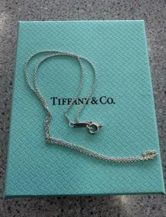 現行品Tiffanyティファニー　ネックレスチェーン　Ag925 40cmのサムネイル
