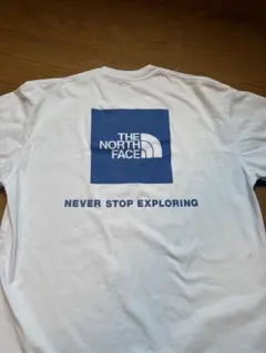 NT82333THE NORTH FACEロングスリーブバックスクエアロゴティー