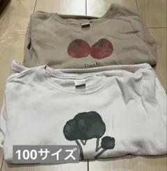 テータテート 100 まとめ売り