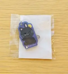 RIIZE ランダムトイ マグネットアクリルチャーム ウォンビン L