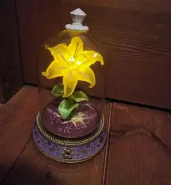 2025年最新】ラプンツェル 魔法の花 LEDの人気アイテム - メルカリ