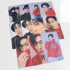 金城碧海 タレントカード