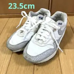 ナイキ NIKE AIR MAX1 FB5059-100サファリ エアマックス