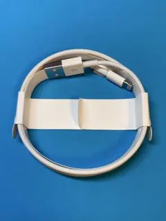 Apple純正　Lightningケーブル USB-A ホワイト