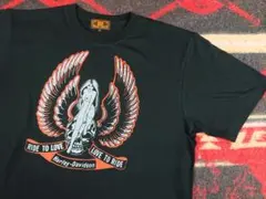 nob 様 専用 ご注文 Teeのサムネイル