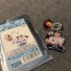 東京ヤクルトスワローズ シークレット神宮グルメチャーム 増田 珠