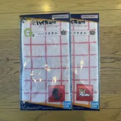 ハイキュー!! 10th anniversary 一番くじ G賞 黒尾 孤爪研磨