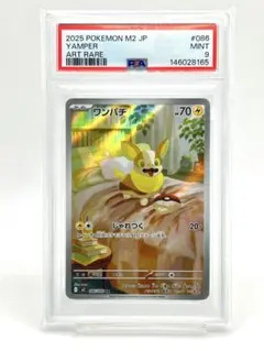2026年最新】psa10 わんぱちの人気アイテム - メルカリ