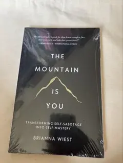 THE MOUNTAIN IS YOU BRIANNA WIEST