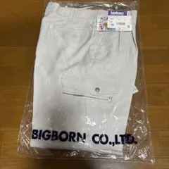 Item thumbnail for item f70f1562-2d8e-47e6-8e97-3deb8698d420