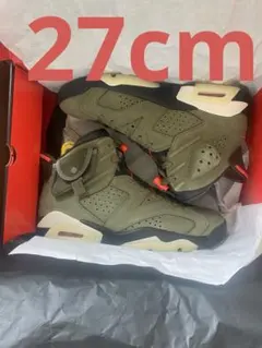 travis scott Jordan 6