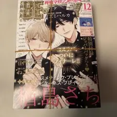 BE・BOY 2025年12月号 MAGAZINE
