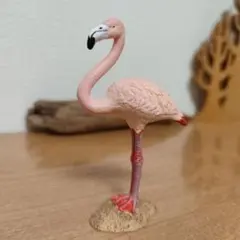 シュライヒ フラミンゴ 鳥フィギュアのサムネイル