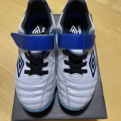 アンブロ アクセレイター UF5SFCT5J トレーニングシューズ