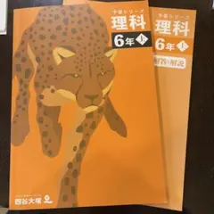 四谷大塚 予習シリーズ理解小6上