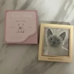 Item thumbnail for item 732fc81a-1165-46a0-82de-27c32f3ca9a3