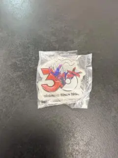 ポケモン30周年 メタルチャームマスコット コライドン ガチャガチャ
