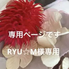 RYU☆M様専用