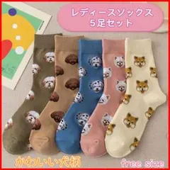 新品靴下　可愛い犬柄ソックス 5足セット レディース オシャレ まとめ売り 韓国