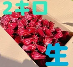 Item thumbnail for item c9060648-c90b-4d15-ac6f-cb2b56768acc