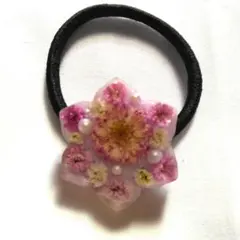 Ｎｏ.020 レジンヘアゴム