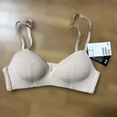 Item thumbnail for item 4d2191ea-25e2-4d5c-8129-e3b48f042e03