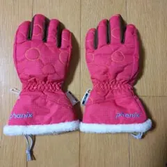 スキーグローブ