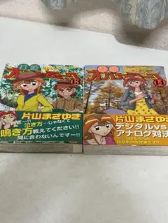 打姫 (うたひめ) オバカミーコ 14巻と15巻(最終巻) - メルカリ
